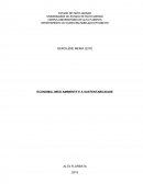 A ECONOMIA, MEIO AMBIENTE E A SUSTENTABILIDADE