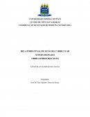 MANEJO REPRODUTIVO DE RUMINANTES E EQUINOS COM O USO DE BIOTÉCNICAS REPRODUTIVAS EM FAZENDAS NO ESTADO DO MARANHÃO