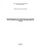 A RESPONSABILIDADE CIVIL EXTRACONTRATUAL DO ESTADO POR ATO OMISSIVO NOS CASOS DE TRANSBORDAMENTOS PLUVIAIS