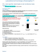 Calor Específico: Determinação do calor de diferentes metais