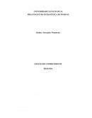 Resenha - Estudo de Caso Circo du Soleil