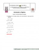 Introdução à Álgebra - Homomorfismo de anéis