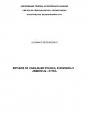 ESTUDOS DE VIABILIDADE TÉCNICA, ECONÔMICA E AMBIENTAL - EVTEA