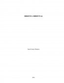 Princípio do Ambiente Ecologicamente Equilibrado como Direito Fundamental da Pessoa Humana
