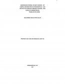 O Empreendedorismo é responsável pelo desenvolvimento social e econômico de diversas localidades