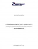 RELATÓRIO PARA ANÁLISE DE VIABILIDADE TÉCNICA E ELABORAÇÃO DE PROJETO DE INTERLIGAÇÃO DE SISTEMAS SÉPTICOS PREDIAIS À REDE PÚBLICA DE SANEAMENTO