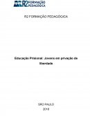 A Educação, Direitos Humanos e a Formação para Cidadania