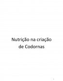 A Nutrição de Codornas