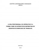 A VIDA PROFISSIONAL DO HIPERATIVO E A FORMA COMO OS HIPERATIVOS ENFRENTAM OS DESAFIOS DO MERCADO DE TRABALHO