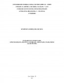 FICHAMENTO COMENTADO: EPISTOLOGRAFIA JESUÍTICA NO BRASIL, GRÃO-PARÁ E MARANHÃO