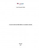 A Usina de Belo Monte e os estudos culturais