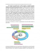 Um Sistema de controle do ciclo celular aciona os principais processos do ciclo celular