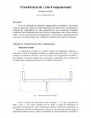 A Transferência de Calor Computacional