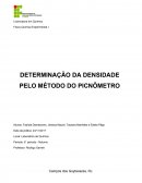 A Determinação da densidade elo método do psicômetro