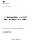 A Determinação da densidade elo método do psicômetro