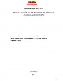 OS INDICADORES DE DESEMPENHO E DIAGNÓSTICO EMPRESARIAL