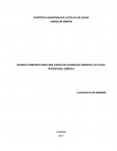 LIMITADA EM CASO DE UTILIZAÇÃO PARENTAL NA PERCEPÇÃO JURÍDICA ATUAL