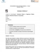 Interesses Difusos e Segurança Pública: Ambiente, Patrimônio Histórico e Consumidor