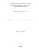 GESTÃO AMBIENTAL E RESPONSABILIDADE SOCIAL E AMBIENTAL