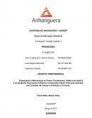 A importância da brinquedoteca na prática pedagógica de acordo com a visão de cientistas como Vygotsky e Jean Piaget