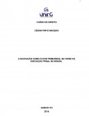 EDUCAÇÃO COMO FATOR PRIMÁRIO EM CRISIS DE IMPLEMENTAÇÃO PENAL NO BRASIL