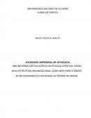 UMA INCURSÃO CRÍTICA ACERCA DA EFICÁCIA EVENTUAL DESSA NOVA ESTRUTURA ORGANIZACIONAL COMO MEIO PARA ATENDER AS NECESSIDADES DO ADVOGADO AUTÔNOMO NO BRASIL