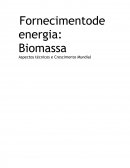 Fornecimento de energia: biomassa