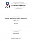 RELATÓRIO PRÁTICA 4: SEPARAÇÃO E IDENTIFICAÇÃO DOS CÁTIONS DO GRUPO ANALÍTICO I: (Ag+, Hg2+2, Pb+2)