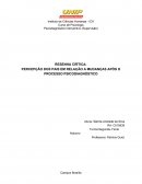 RESENHA CRITICA: PERCEPÇÃO DOS PAIS EM RELAÇÃO A MUDANÇAS APÓS O PROCESSO PSICODIAGNÓSTICO