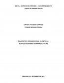 O DIAGNÓSTICO ORGANIZACIONAL DA EMPRESA