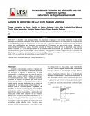 Coluna de Absorção de CO2 com Reação Química