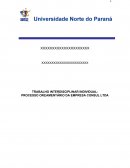 PROCESSO ORÇAMENTÁRIO DA EMPRESA CONSUL LTDA