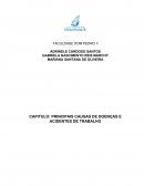 PRINCIPAIS CAUSAS DE DOENÇAS E ACIDENTES DE TRABALHO