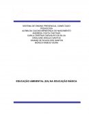 A Educação Ambiental