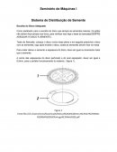 O Sistema de Distribuição de Semente