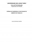 OS ESTÍMULOS E BARREIRAS À CRIATIVIDADE NO AMBIENTE DE TRABALHO