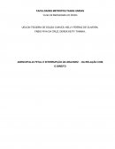 ANENCEFALIA FETAL E INTERRUPÇÃO DA GRAVIDEZ : DA RELAÇÃO COM O DIREITO