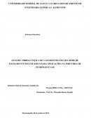 ANÁLISE VIBROACÚSTICA DE VAZAMENTOS EM UMA REDE DE ESCOAMENTO MULTIFÁSICO PARA APLICAÇÕES NA INDÚSTRIA DE PETRÓLEO E GÁS Relatório