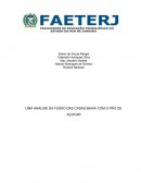 UMA ANÁLISE DA FUSÃO DAS CASAS BAHIA COM O PÃO DE AÇÚCAR
