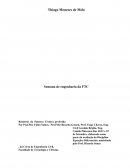 Relatório de Seminário de Engenharia FTC Itabuna