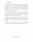 A Origens e Características da teoria de administração