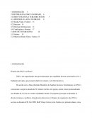 DIAGNÓSTICO E INTERVENÇÃO NO TERCEIRO SETOR APAE DE VOTORANTIM