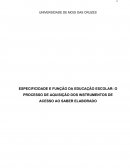 PROCESSO DE AQUISIÇÃO DOS INSTRUMENTOS DE ACESSO AO SABER ELABORADO