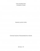 Práticas de Governança Corporativa, Sustentabilidade e Responsabilidade Social