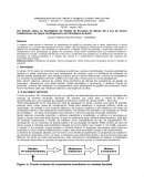 Os Paradigmas de Gestão do Processo do Século XX à Luz da Teoria Institucional