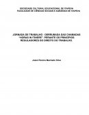JORNADA DE TRABALHO - DERRUBADA DAS CHAMADAS “HORAS IN ITINERE”. PERANTE OS PRINCÍPIOS REGULADORES DO DIREITO DO TRABALHO