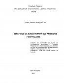 BENEFÍCIOS DA MUSICOTERAPIA NOS AMBIENTES HOSPITALARES