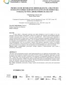 PRODUÇÃO DE DETERGENTE BIODEGRADÁVEL ATRAVÉS DO TENSOATIVO DODECILBENZENO SULFONATO DE SÓDIO PARA UTILIZAÇÃO NOS LABORATÓRIOS DA EEL/USP