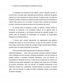 AS CARACTERÍSTICAS E PARTICULARIDADES DAS EMPRESAS DO TERCEIRO SETOR