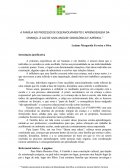 A FAMÍLIA NO PROCESSO DE DESENVOLVIMENTO E APRENDIZAGEM DA CRIANÇA- À LUZ DE UMA ANÁLISE SOCIOLÓGICA E JURÍDICA